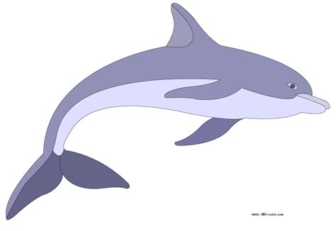 Dolphin clipart bottlenose dolphin, Dolphin bottlenose dolphin Transparent FREE for download on ...