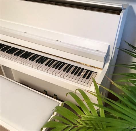 White Piano in 2021 | White piano, Piano, White