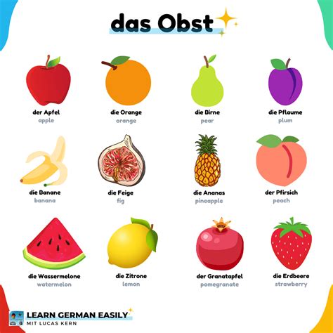 German Vocabulary: 300+ Words with Pictures and Pronunciation