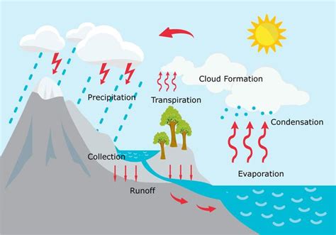 Imagenes Grafico Del Ciclo Del Agua Ciclo De Vector Del Agua Para ...