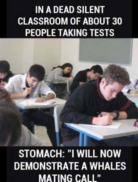 Classroom Memes That Will Make You Glad You're Not a Student Anymore