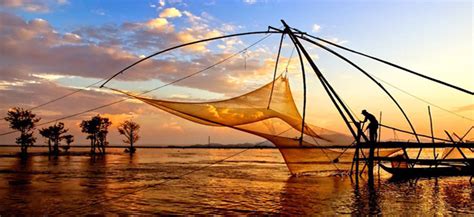 Mekong Delta, rice fields floating on the river of Nine Dragons