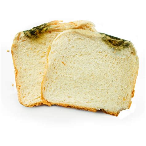 Royalty Free White Mold On Bread Pictures, Images and Stock Photos - iStock