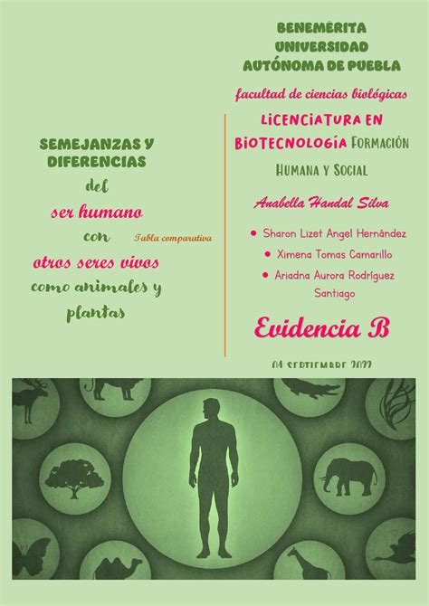 Evidencia B. semejanzas y diferencias del ser humano con otros seres ...