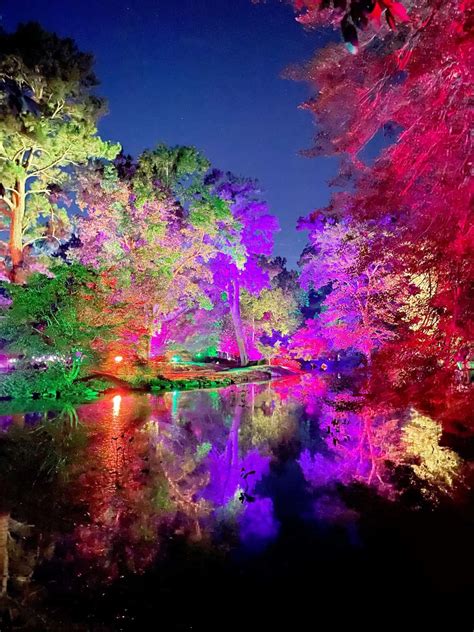 Maymont's 6th Annual Garden Glow! - Enjoying RVA and all it has to offer!