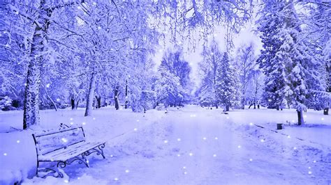 Winter Widescreen Desktop Wallpaper