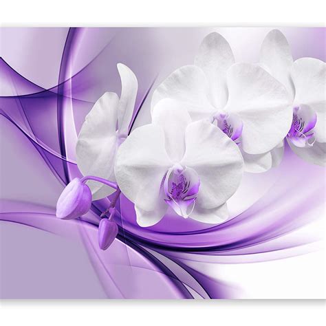 Purple Orchid Wallpapers on WallpaperDog