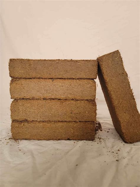 Coconut Coir Brick (5 bricks) - TheToadwood.com