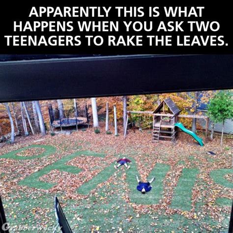 Apparently this is what happens when you ask two teenagers to rake the leaves. | MEMES ...