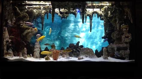 DIY Underwater Cavern Aquarium with 3D background - YouTube