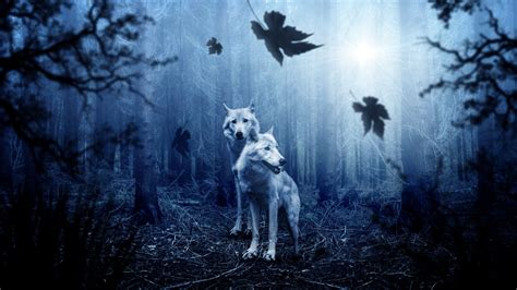 Wolf Wallpaper 4K, Forest, Dark background, Predator