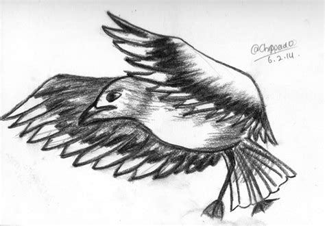 Bird - charcoal pencil by Chippeido on DeviantArt