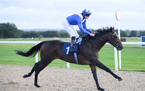 Horse Racing Tips: Timeform’s top 3 punts from Friday's cards