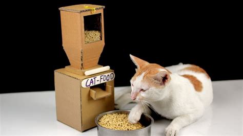 Diy Tom Cat Food Dispenser From Cardboard at Home [ Mr H2 ]