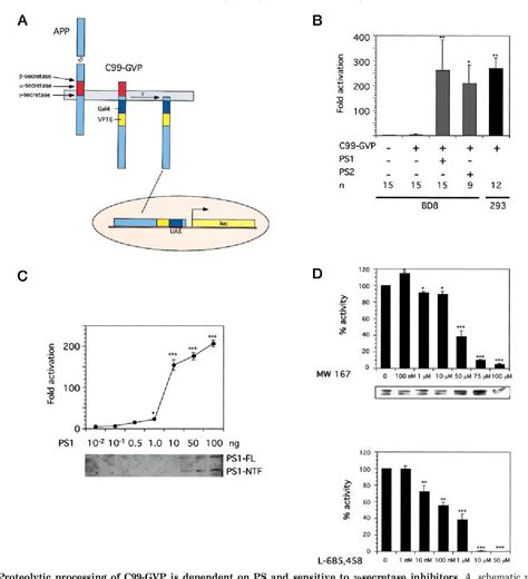 Figure 1 from A Sensitive and Quantitative Assay for Measuring Cleavage of Presenilin Substrates ...