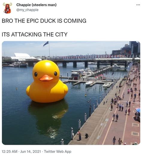 BRO THE EPIC DUCK IS COMING ITS ATTACKING THE CITY | Epic Duck / TEH ...