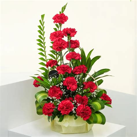 Red Carnations in a Basket