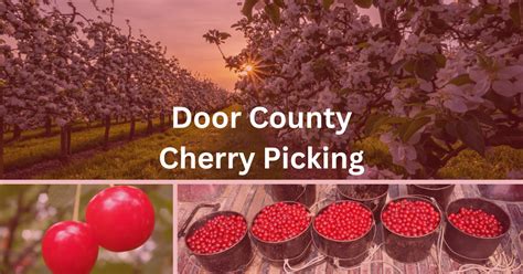 Door County Cherry Picking Ultimate Guide [2024] | Orchards