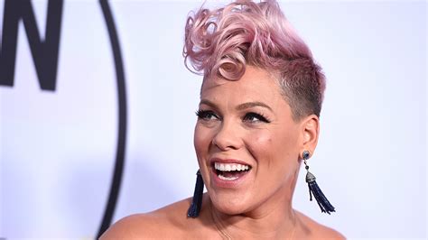 Singer Pink pledges $500K to fight Australia wildfires | WKBN.com