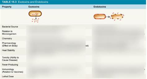 endotoxins vs exotoxins Diagram | Quizlet