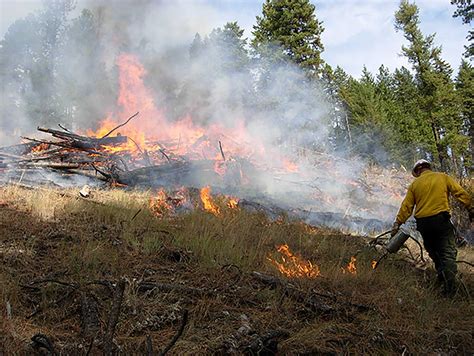 Idaho Elk, Elk Habitat to Receive $2.1 Million in Upgrades | Rocky Mountain Elk Foundation