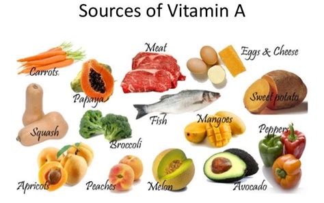 What's the Connection between Vitamin A and Beta-Carotene? - UF/IFAS ...