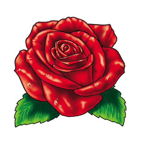 Más Nuevo Para Faciles Rosas Rojas Faciles Dibujos De Rosas Para Dibujar - Alyshia Kanters Blogs