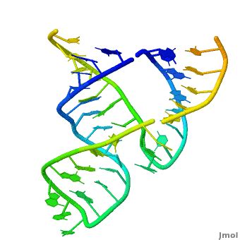 Ribozyme - Proteopedia, life in 3D