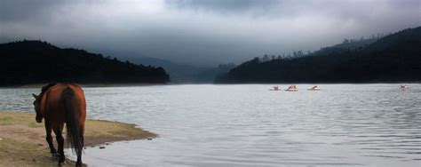 Mattupetty Dam Munnar, Mattupetty Lake, Boating at Mattupetti Dam ...