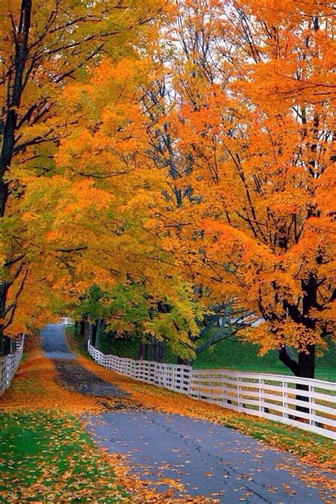 New Hampshire | Autumn scenery, Autumn landscape, Fall pictures