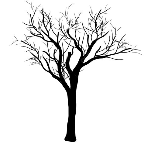Black Leafless Tree Silhouette Leafless Dead Tree Silhouette Png | Free Download Nude Photo Gallery