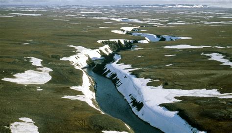 A Blessing and a Curse: Melting Permafrost in the Russian Arctic | The ...