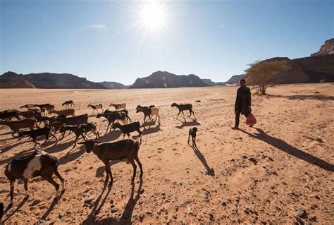 Redrawing the Map: How the World’s Climate Zones Are Shifting - Yale E360