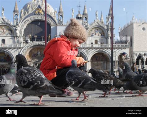 Child feeding pigeons in Venice Stock Photo - Alamy