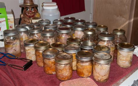 Preserving Meat and Fish - PREPAREDNESS ADVICE