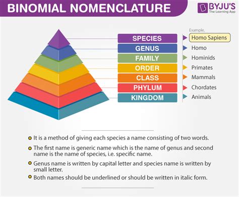 The First Letter of Every Genus Name Is - Elaina-has-Graves