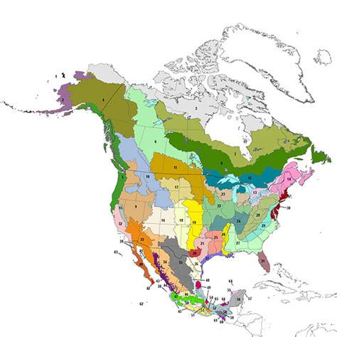 Bird Conservation Regions - Atlantic Coast Joint Venture