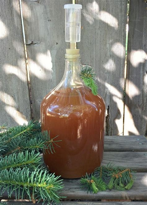 Spruce Beer Homebrew Recipe (made with spruce tips) | Recipe | Homebrew ...