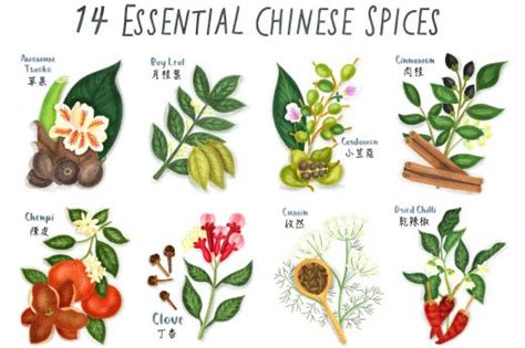 14 Essential Chinese Spices - Egg Wan's Food Odyssey