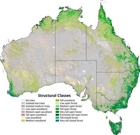 Satellite eye on Australia’s vegetation | TERN Australia