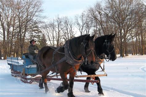 Horseback Riding for Kids - Mountain Creek Riding Stable