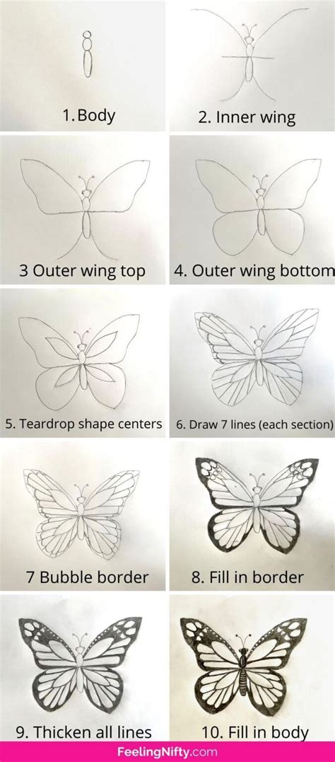 How To Paint A Butterfly {Easy Beginner Step-By-Step Tutorial ...