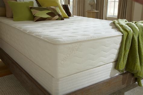 plushbed botanical bliss, all natural latex mattress review - Girl On The Mattress