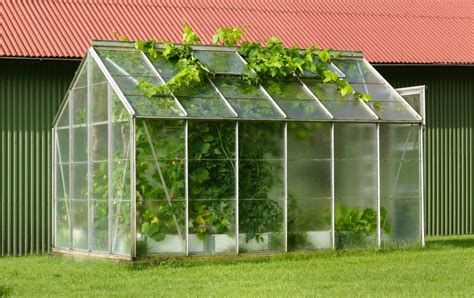 Greenhouse Flooring - How To Get The Best Greenhouse Flooring ...