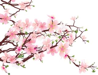 Flower Tree Png Images