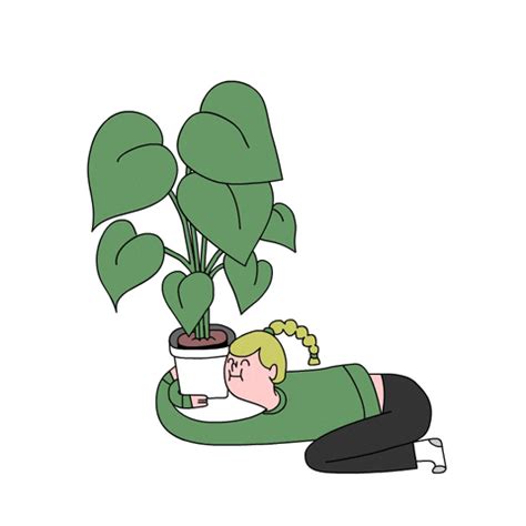 Plant GIFs - Find & Share on GIPHY