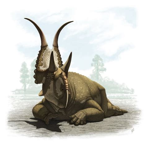 Pin by Will Dougherty on Ceratopsians | Prehistoric animals, Extinct ...