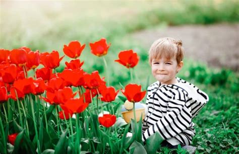 100 Unique Dutch Boy Names (With Cute Meanings) - Mom Loves Best