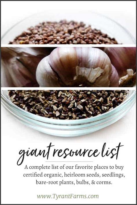 Resources: Where to buy Non-GMO & Organic Seeds, Bulbs, and Plants