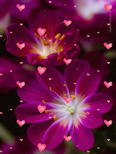 Two Pink Flowers with Hearts - Beautiful Garden Decoration